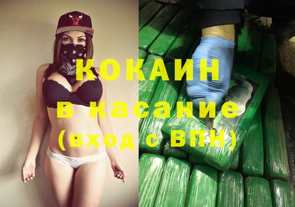твердый Аркадак