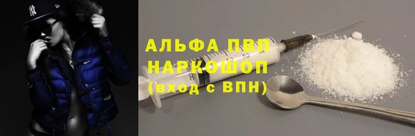 твердый Аркадак