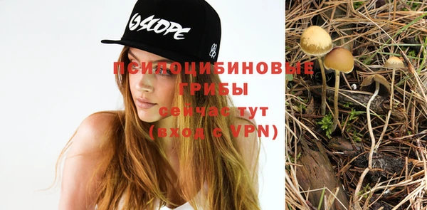 твердый Аркадак